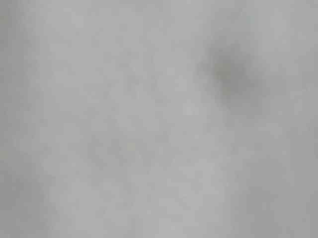zara-rosse webcam
