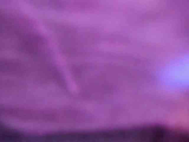 zara-rosse webcam