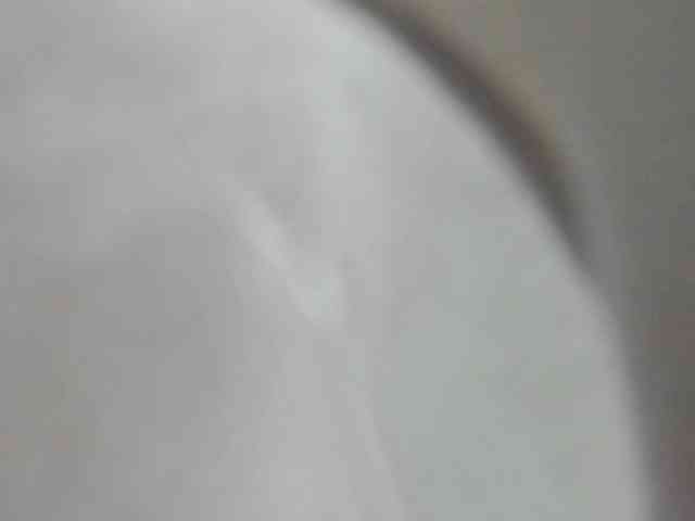 zara-rosse webcam