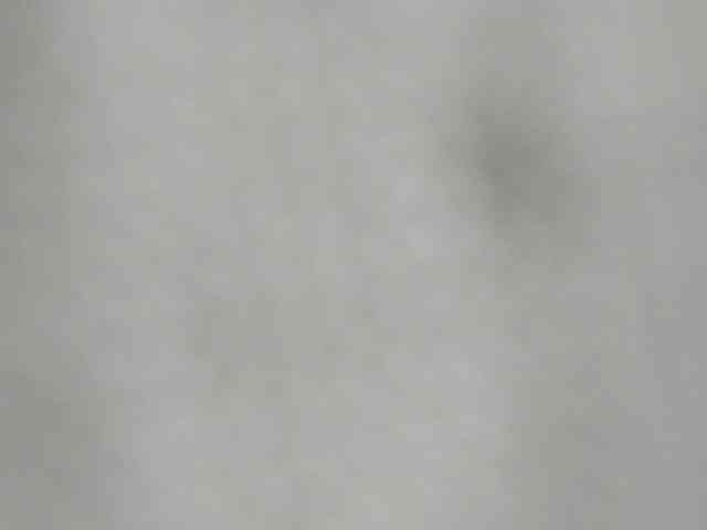 zara-rosse webcam