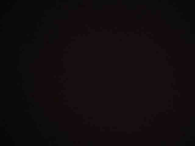zara-rosse webcam