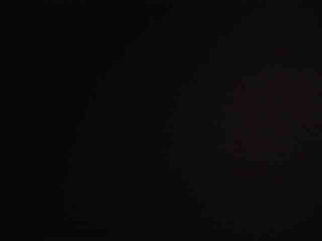 zara-rosse webcam