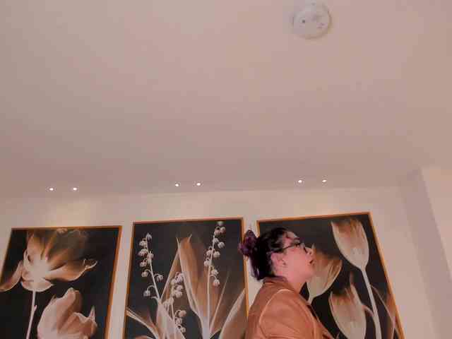 LoiseHarper Live Webcam on BongaCams