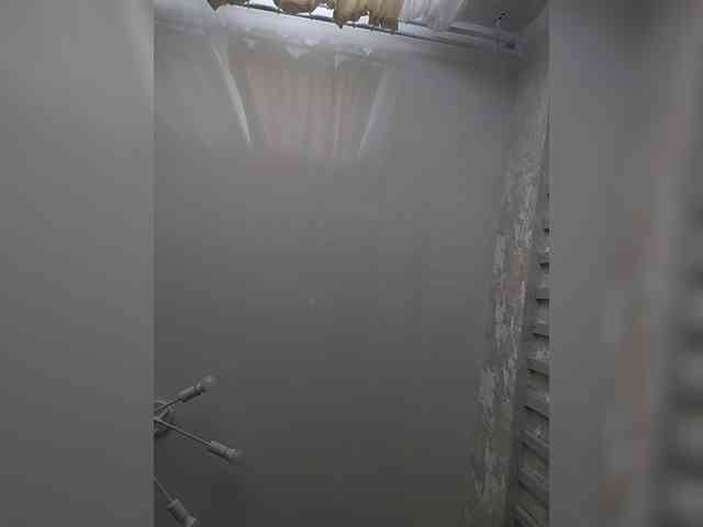 Anna407 webcam