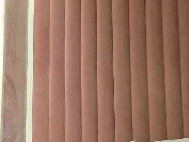 AlissonNova webcam