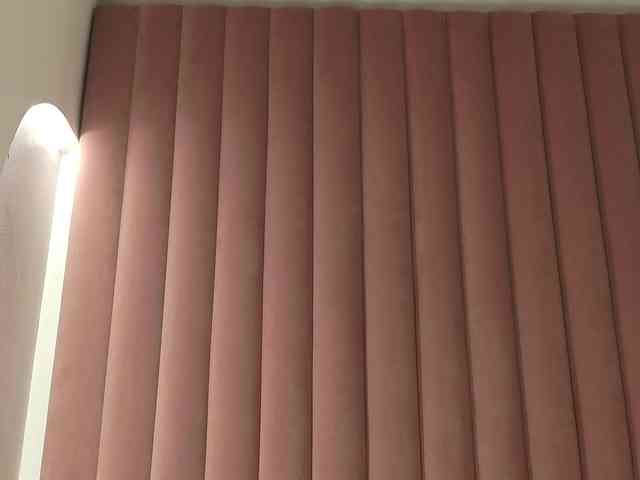 AlissonNova webcam