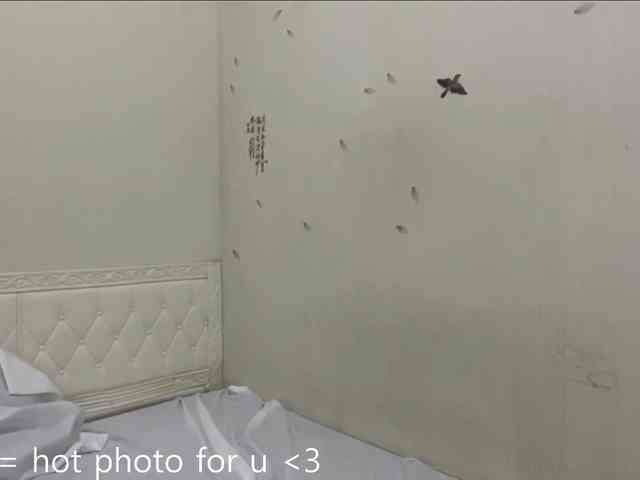 WesleyLebold webcam