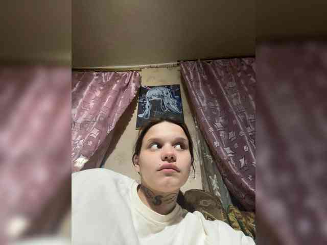 ploxsar webcam