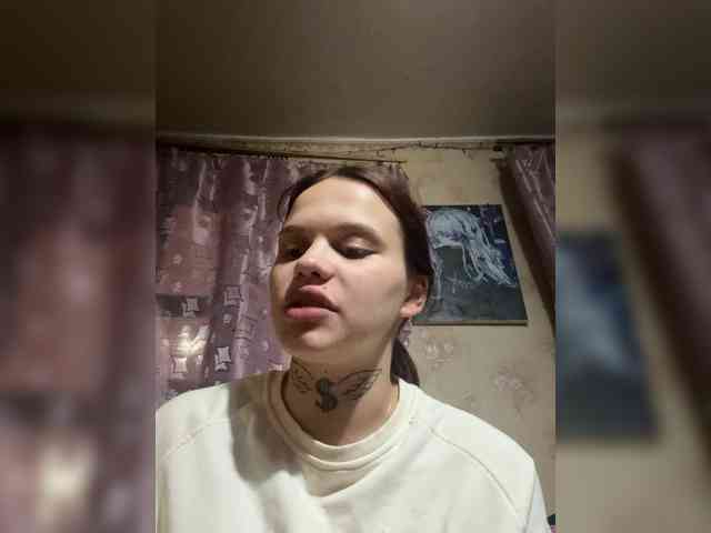 ploxsar webcam