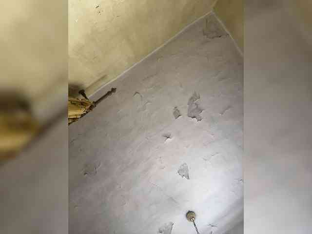 Milasha14 webcam