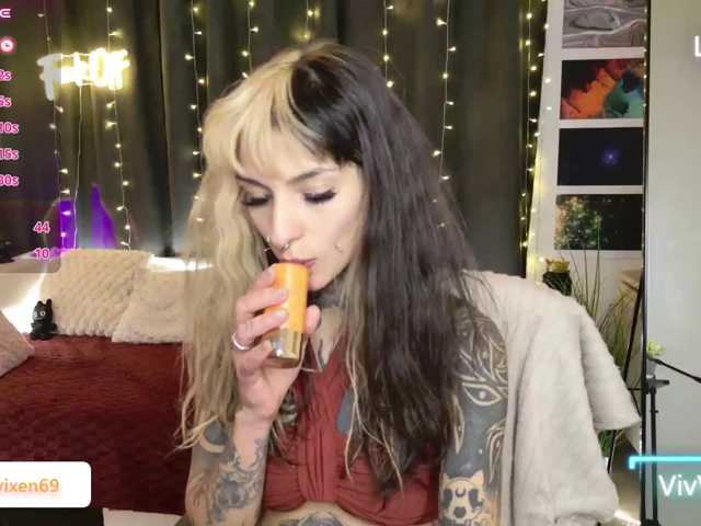 VivVixen