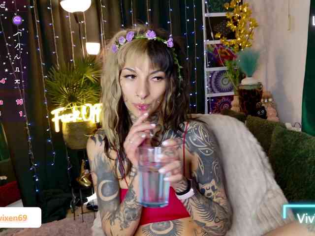 VivVixen webcam