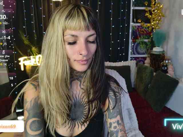 VivVixen webcam