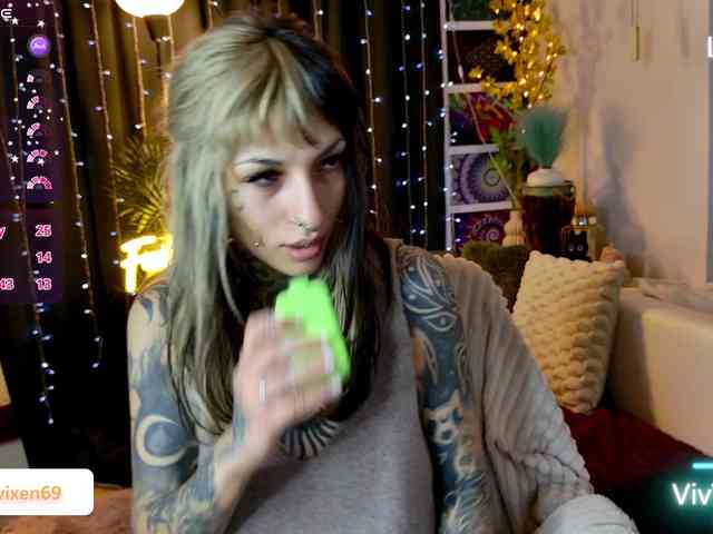 VivVixen webcam