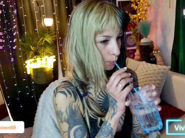 VivVixen webcam