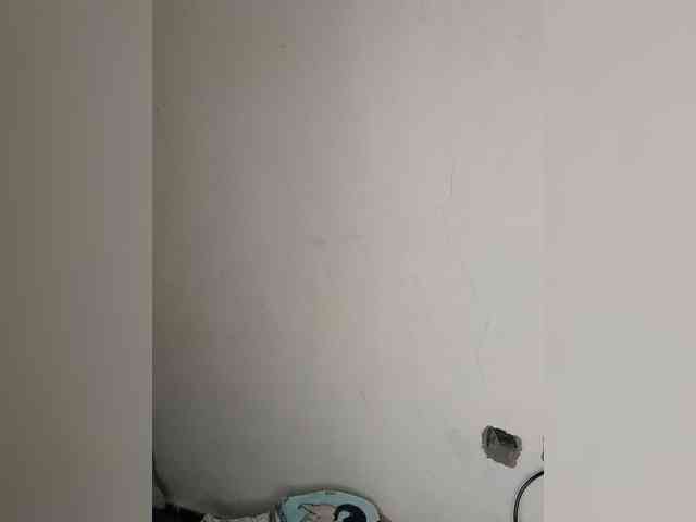 Felly webcam