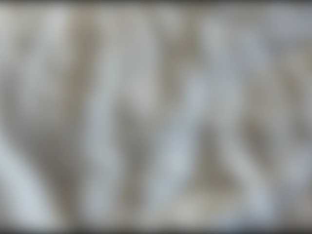 LinaLi9
