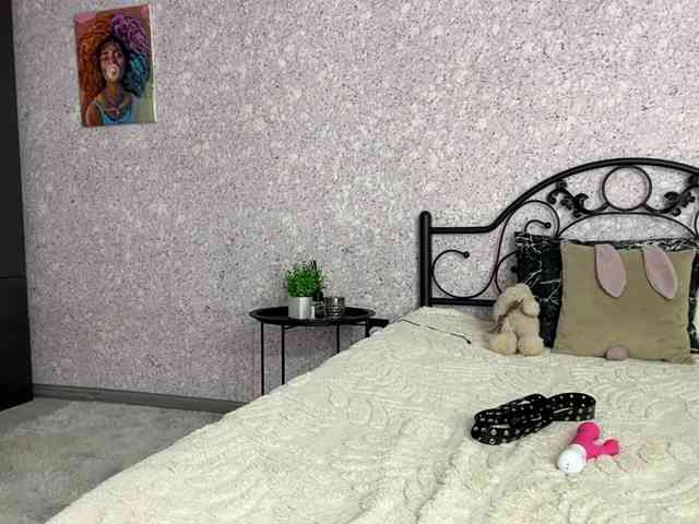 Lina-Li9 webcam