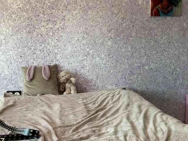 Lina-Li9 webcam