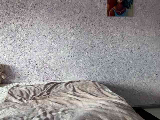Lina-Li9 webcam