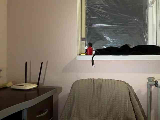 Lina-Li9 webcam