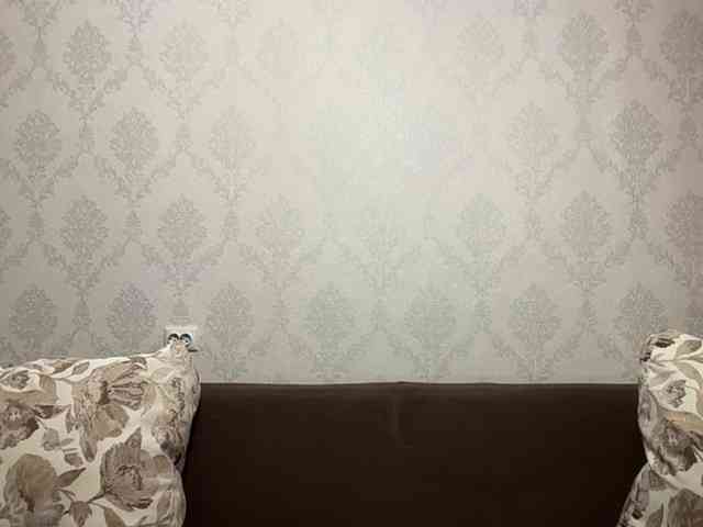 Lina-Li9 webcam