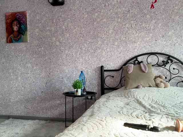 Lina-Li9 webcam