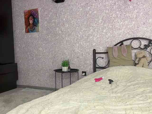 Lina-Li9 webcam