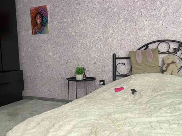Lina-Li9 webcam