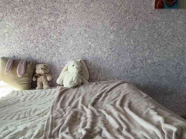 Модель: Lina-Li9