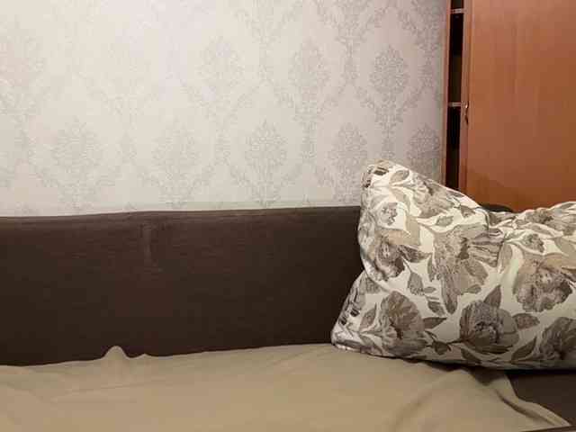 Lina-Li9 webcam