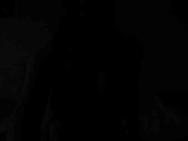 Lina-Li9 webcam