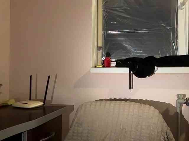 Lina-Li9 webcam