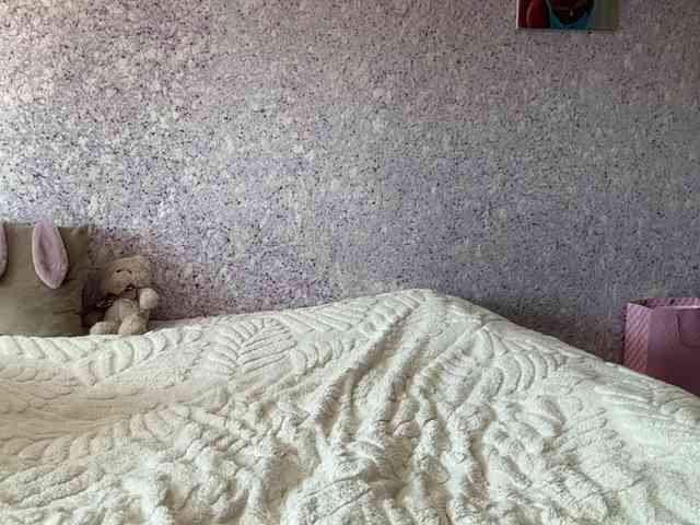 Модель: Lina-Li9