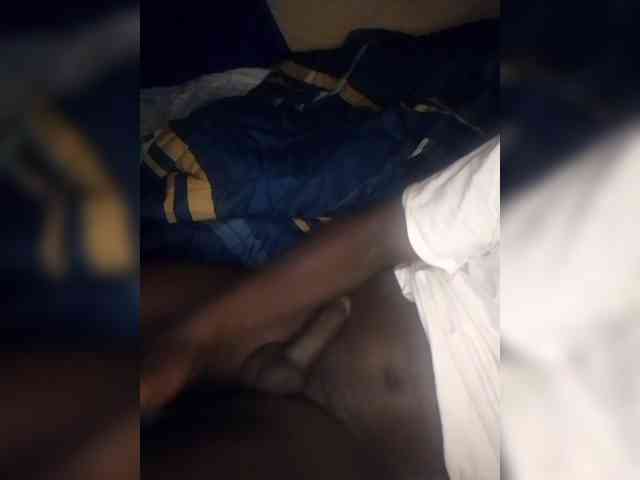 DaqBBC31 DaqBBC31