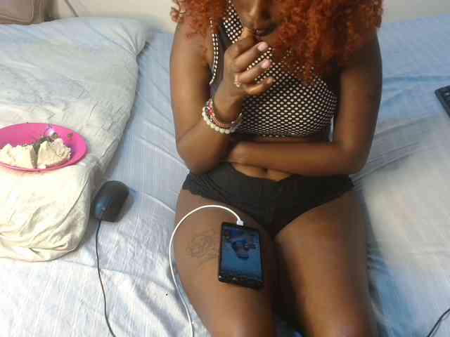 SolVixen webcam