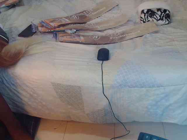SolVixen webcam