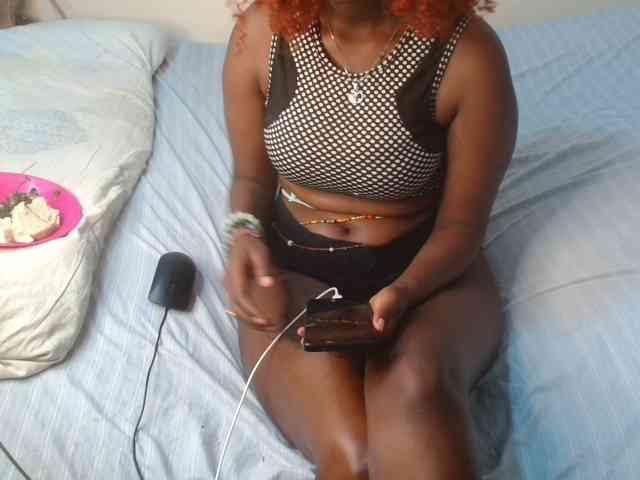 SolVixen webcam