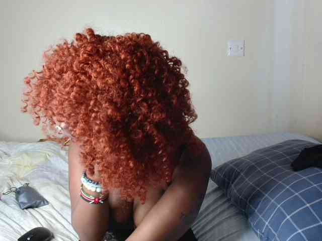 SolVixen webcam