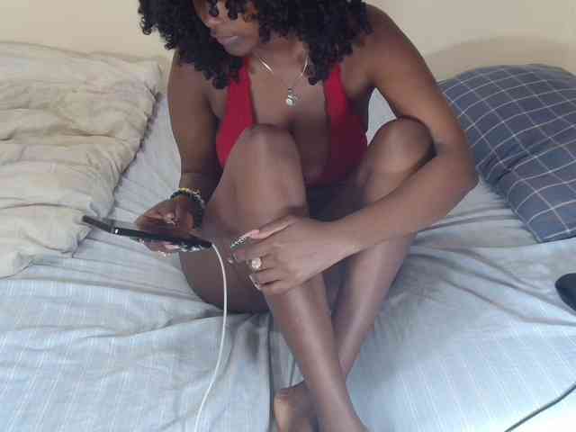 SolVixen SolVixen