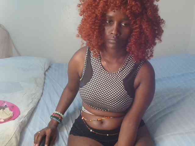 SolVixen webcam