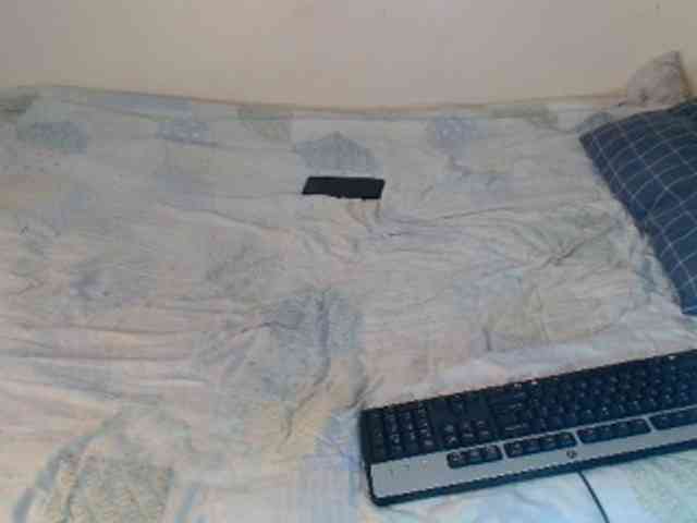 SolVixen webcam