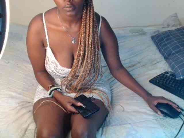 SolVixen webcam