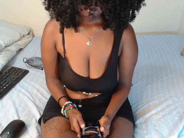 SolVixen webcam