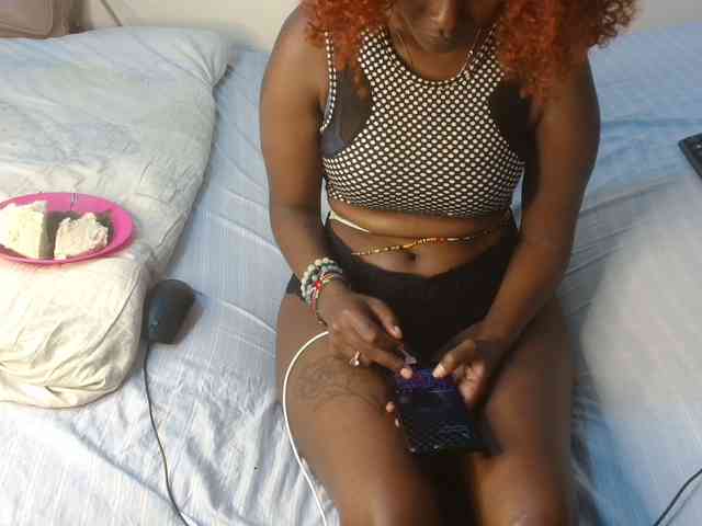 SolVixen