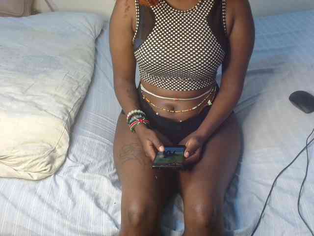 Model: SolVixen