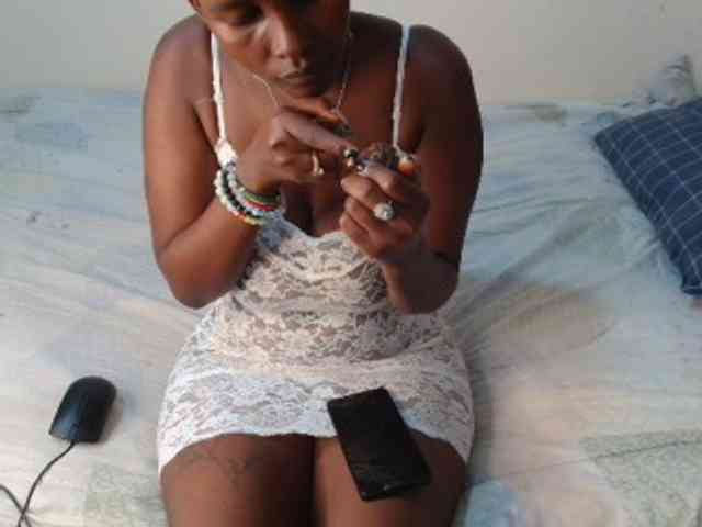 SolVixen webcam