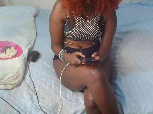 SolVixen webcam
