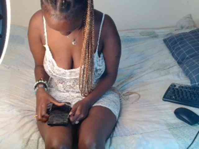 SolVixen webcam