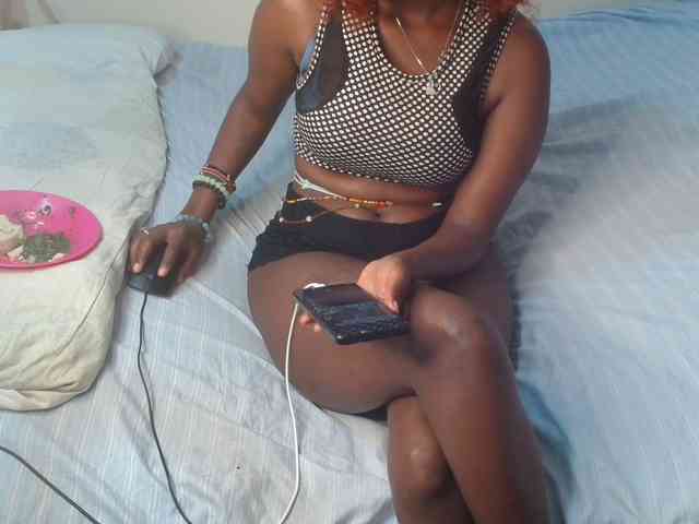 SolVixen webcam